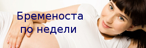 бременоста по недели